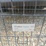 dog cage Image 2