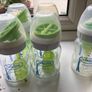 Dr Brown's glass bottles Image 3