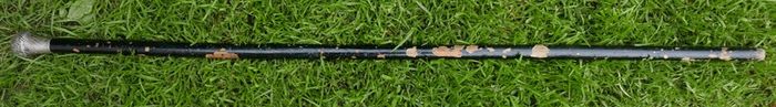 Antique Silver Handled Walking Stick. Twisted Silver Finish Handle