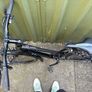 ladies liv bike Image 2