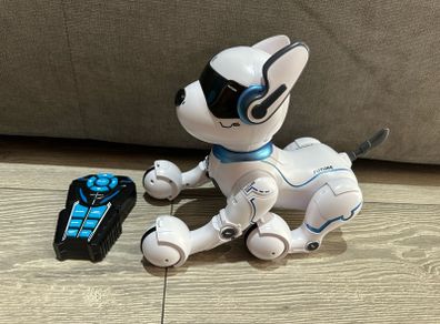 Robot Dog bought in Smyths Toys