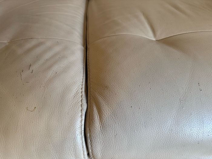 Cream leather couches for sale