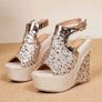 wedge Image 2