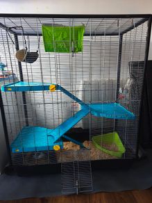 Cage