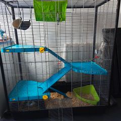 Cage