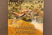 Explorers Series Books x 9 books