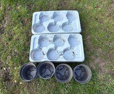 2 plastic trays and 4 plastic flower pots