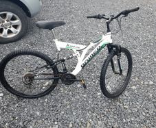 Adult Mountain Bike