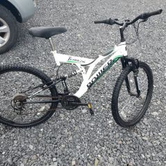 Adult Mountain Bike