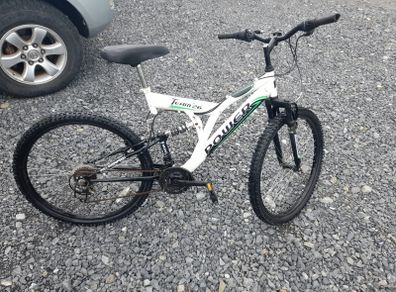 Adult Mountain Bike