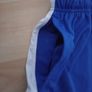 Nike Dri-Fit Shorts ((Adult L)) Image 4