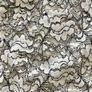Zara Lace Top - Size XS - BNWT Image 8