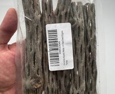 cholla wood & lotus pods for shrimps/aquarium