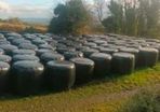 free silage