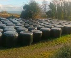 free silage