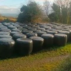 free silage