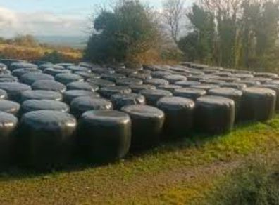 free silage