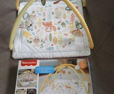 Baby Play Gym