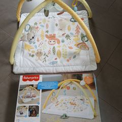 Baby Play Gym