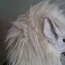 Wolf Mask Image 2