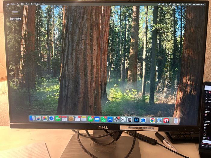 Dell U2415 24 Inch IPS Monitor 1920x1200 Height Adjustable