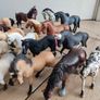 toy horses Image 7