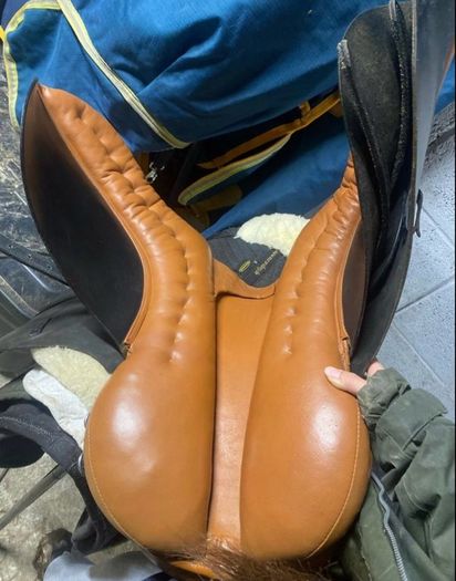 saddle