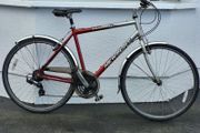 Gents Large City Bike