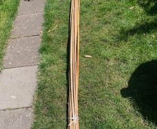 8 foot Garden plant Bamboo poles