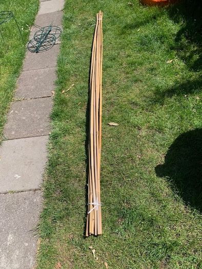 8 foot Garden plant Bamboo poles