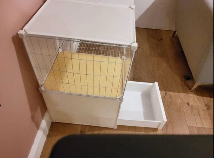 FREE indoor cat house with litter box