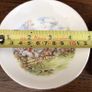 Bone china tally ho Hunt scene small pin dish /tray Image 3