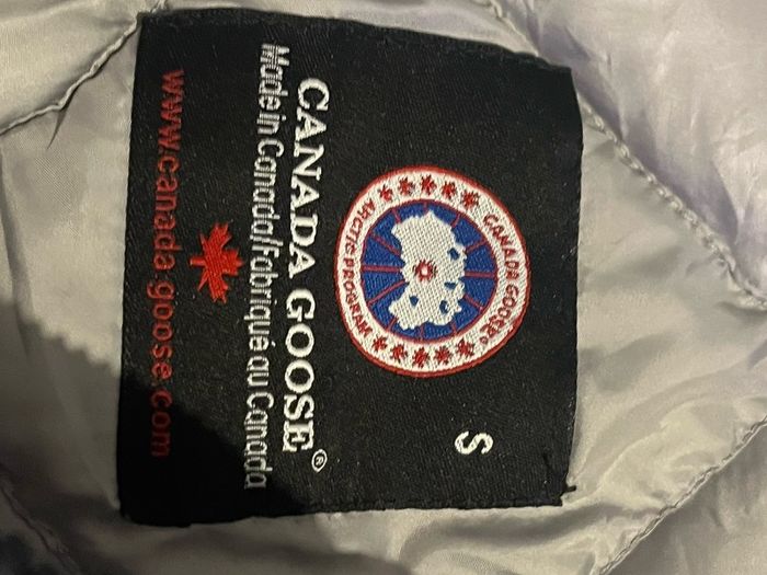 canada goose