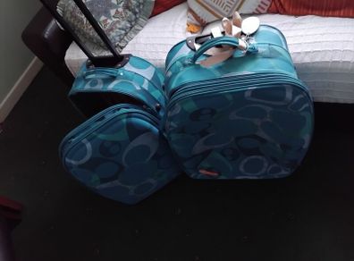 2 Travel Cases
