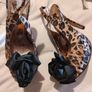Leopard print high heels from Schuh brand new Image 4