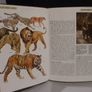 SALE!  The Illustrated Encyclopedia of WILDLIFE - Volume 3 - Mammals Image 9