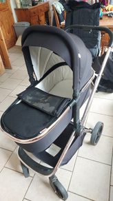 Buggy & Bassinet