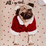 Faux Fur Mink Throw / Blanket. PUG Dog. NEW. 1.6x2m Image 3