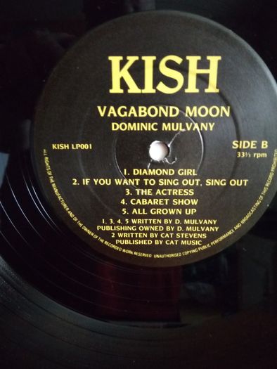 Dominic Mulvany - Vagabond Moon (Rare Vinyl LP)