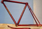 colnago frame
