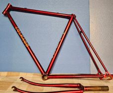 colnago frame