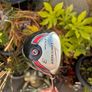 Full Set of Fazer Golf Clubs Image 10