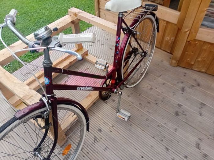 adults bike