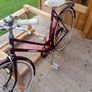 adults bike Image 5