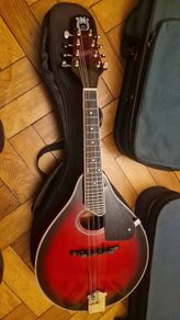 mandolin