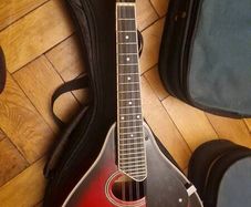 mandolin