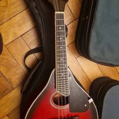 mandolin