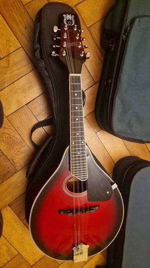 mandolin