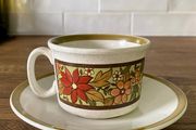 Rare Vintage 60s Lord Nelson Pottery Teacup &amp; Saucer
