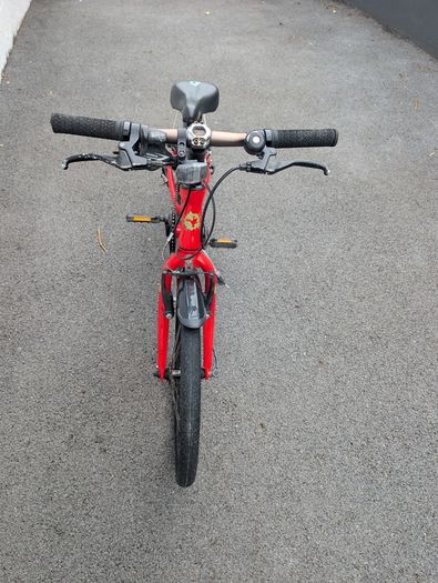 Frog Bike 55